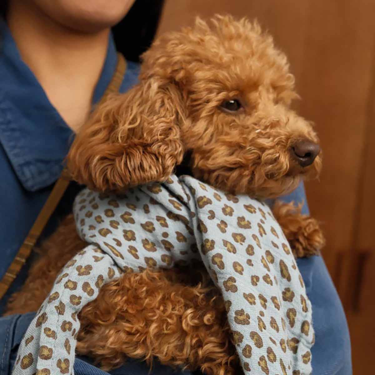 Lange - Bianca Mini Léopard Blue sky