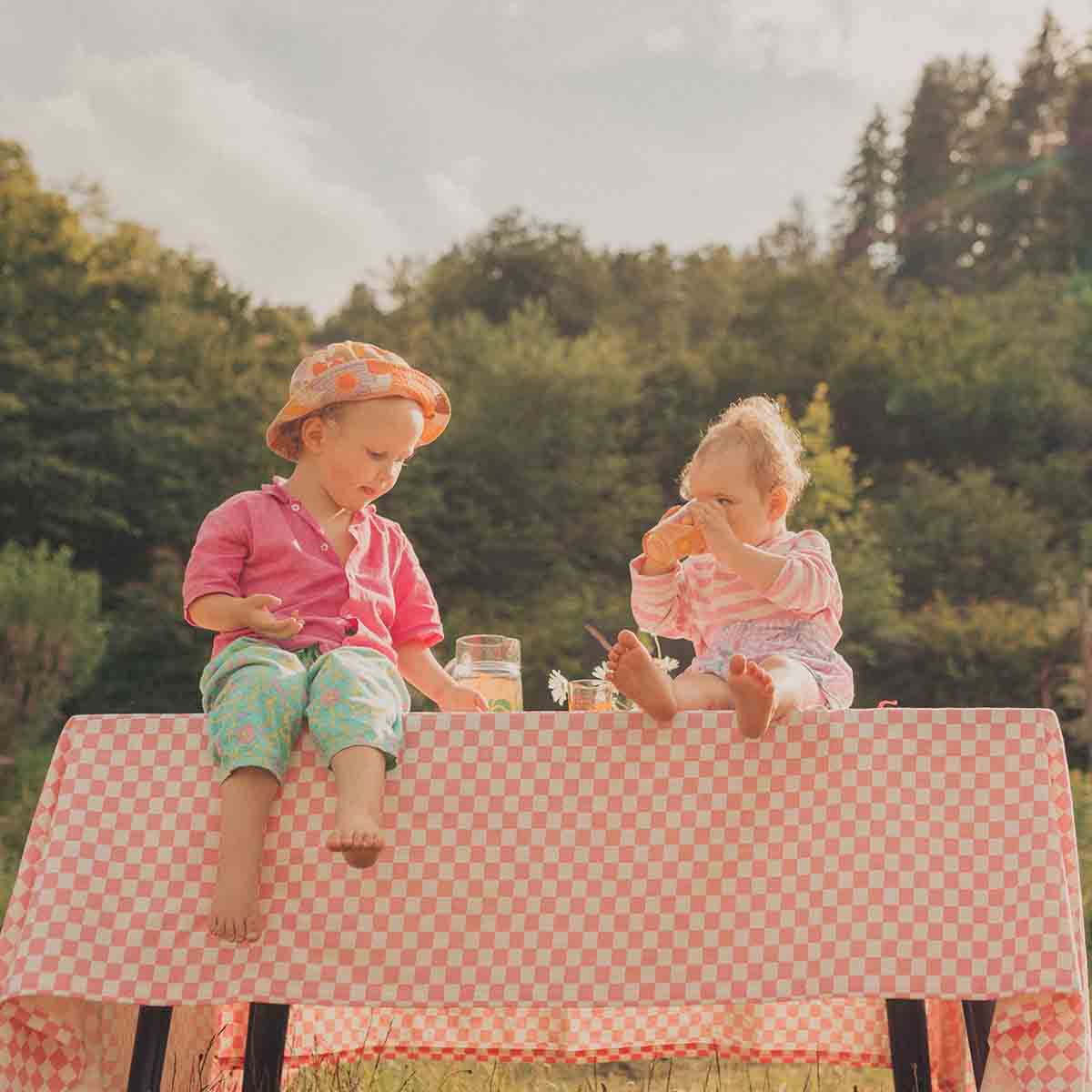 Tablecloth - Zoe Checkerboard Strawberry